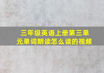 三年级英语上册第三单元单词朗读怎么读的视频