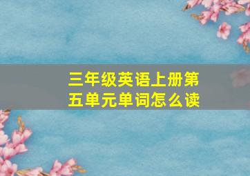 三年级英语上册第五单元单词怎么读