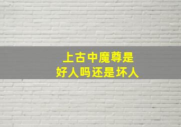 上古中魔尊是好人吗还是坏人