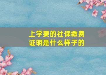 上学要的社保缴费证明是什么样子的