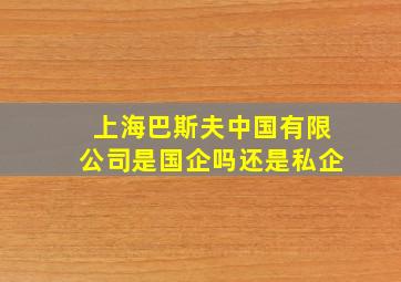 上海巴斯夫中国有限公司是国企吗还是私企