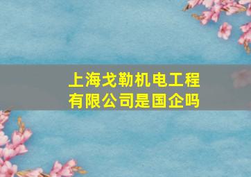 上海戈勒机电工程有限公司是国企吗