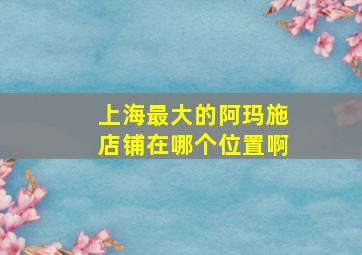 上海最大的阿玛施店铺在哪个位置啊