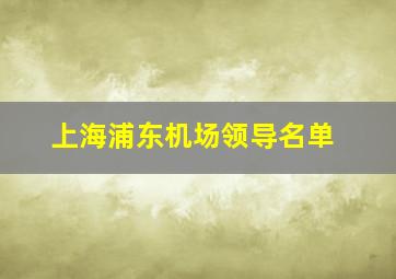 上海浦东机场领导名单