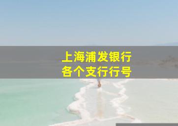 上海浦发银行各个支行行号