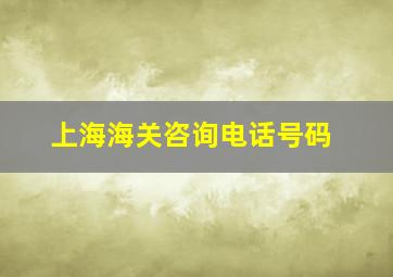 上海海关咨询电话号码