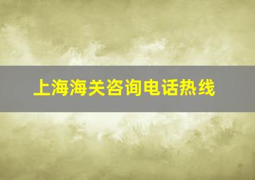 上海海关咨询电话热线