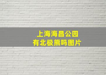 上海海昌公园有北极熊吗图片