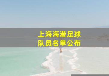 上海海港足球队员名单公布