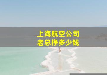 上海航空公司老总挣多少钱