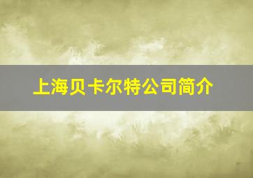 上海贝卡尔特公司简介