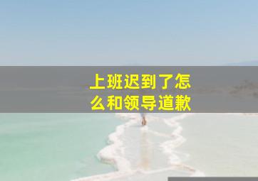 上班迟到了怎么和领导道歉