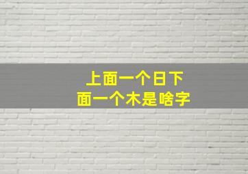 上面一个日下面一个木是啥字