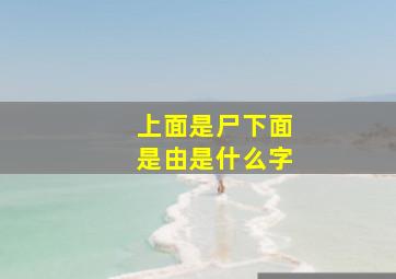 上面是尸下面是由是什么字