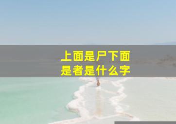 上面是尸下面是者是什么字