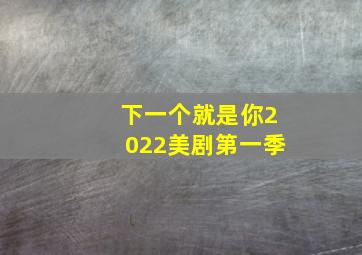 下一个就是你2022美剧第一季