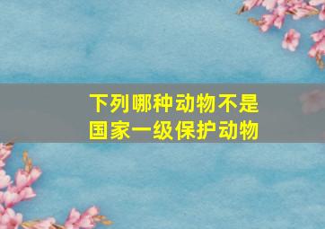 下列哪种动物不是国家一级保护动物