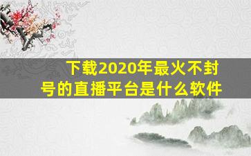 下载2020年最火不封号的直播平台是什么软件