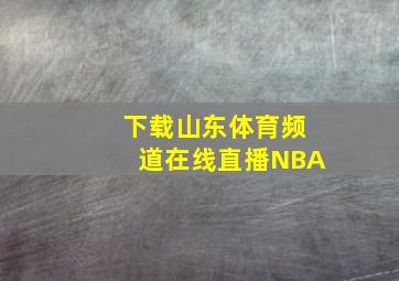 下载山东体育频道在线直播NBA