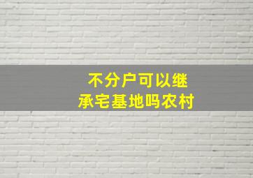 不分户可以继承宅基地吗农村