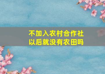 不加入农村合作社以后就没有农田吗