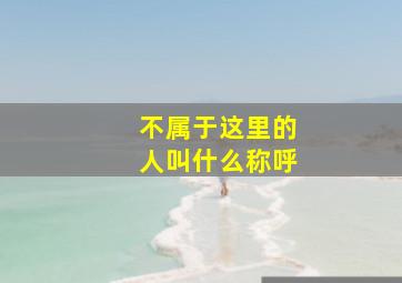 不属于这里的人叫什么称呼