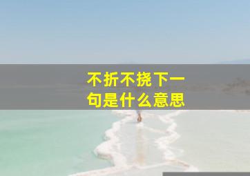 不折不挠下一句是什么意思