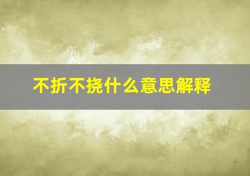 不折不挠什么意思解释