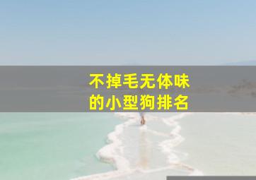 不掉毛无体味的小型狗排名