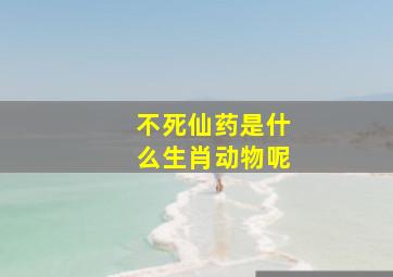 不死仙药是什么生肖动物呢