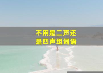 不用是二声还是四声组词语