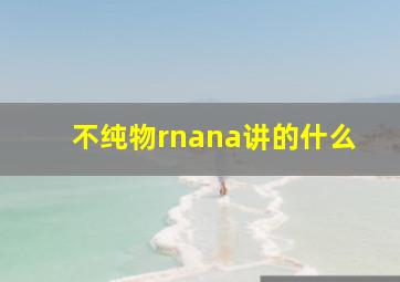 不纯物rnana讲的什么