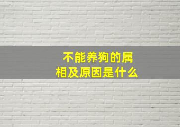 不能养狗的属相及原因是什么