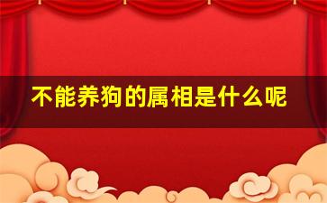 不能养狗的属相是什么呢