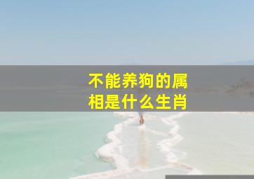 不能养狗的属相是什么生肖