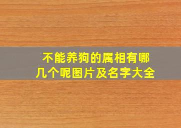 不能养狗的属相有哪几个呢图片及名字大全