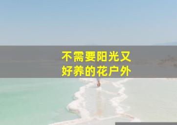 不需要阳光又好养的花户外