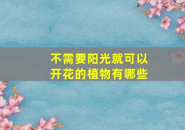 不需要阳光就可以开花的植物有哪些