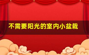 不需要阳光的室内小盆栽