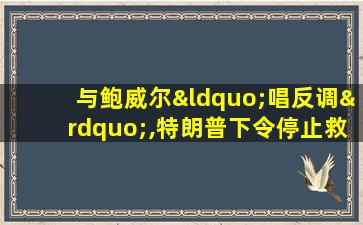 与鲍威尔“唱反调”,特朗普下令停止救助措施谈判