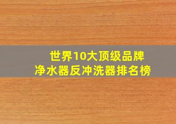 世界10大顶级品牌净水器反冲洗器排名榜