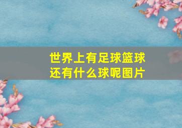 世界上有足球篮球还有什么球呢图片