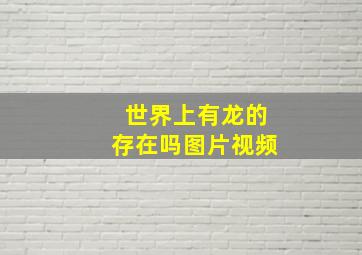 世界上有龙的存在吗图片视频