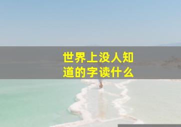 世界上没人知道的字读什么