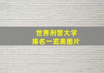 世界刑警大学排名一览表图片