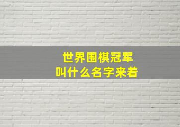 世界围棋冠军叫什么名字来着