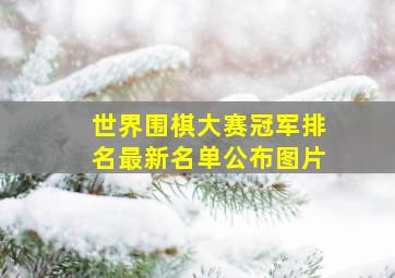 世界围棋大赛冠军排名最新名单公布图片