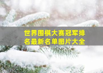 世界围棋大赛冠军排名最新名单图片大全