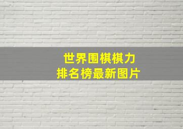 世界围棋棋力排名榜最新图片