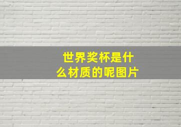 世界奖杯是什么材质的呢图片